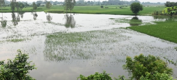 इटौंजा के बहादुरपुर और सुल्तानपुर में घुसा बाढ़ का पानी। 