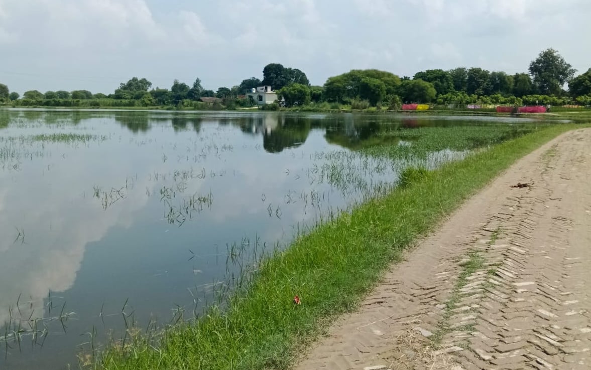 सरयू के पानी से घिरा सेमरी गांव। संवाद सरयू के पानी से घिरा सेमरी गांव। संवाद