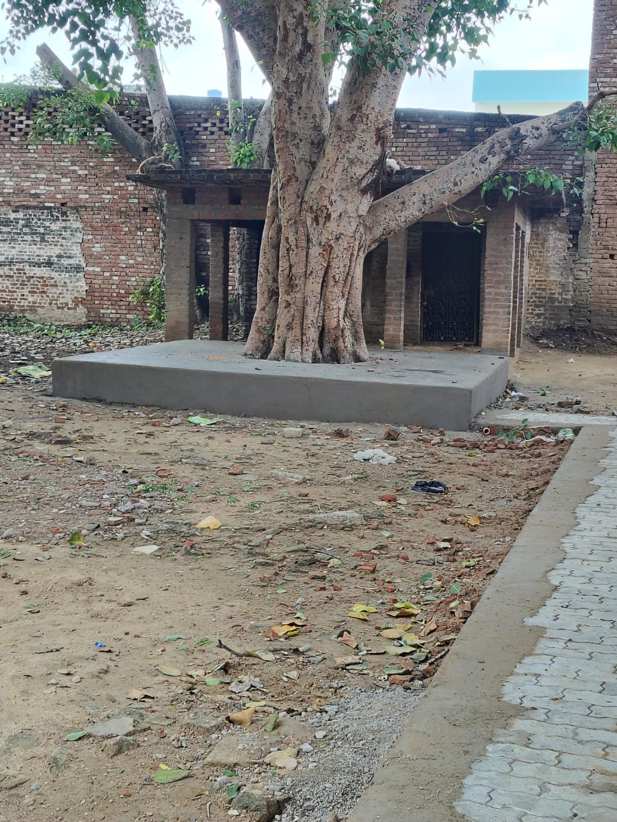 पंचमुखी हनुमान मंदिर में बिछाई गई इंटरलॉकिंग। संवाद पंचमुखी हनुमान मंदिर में बिछाई गई इंटरलॉकिंग। संवाद