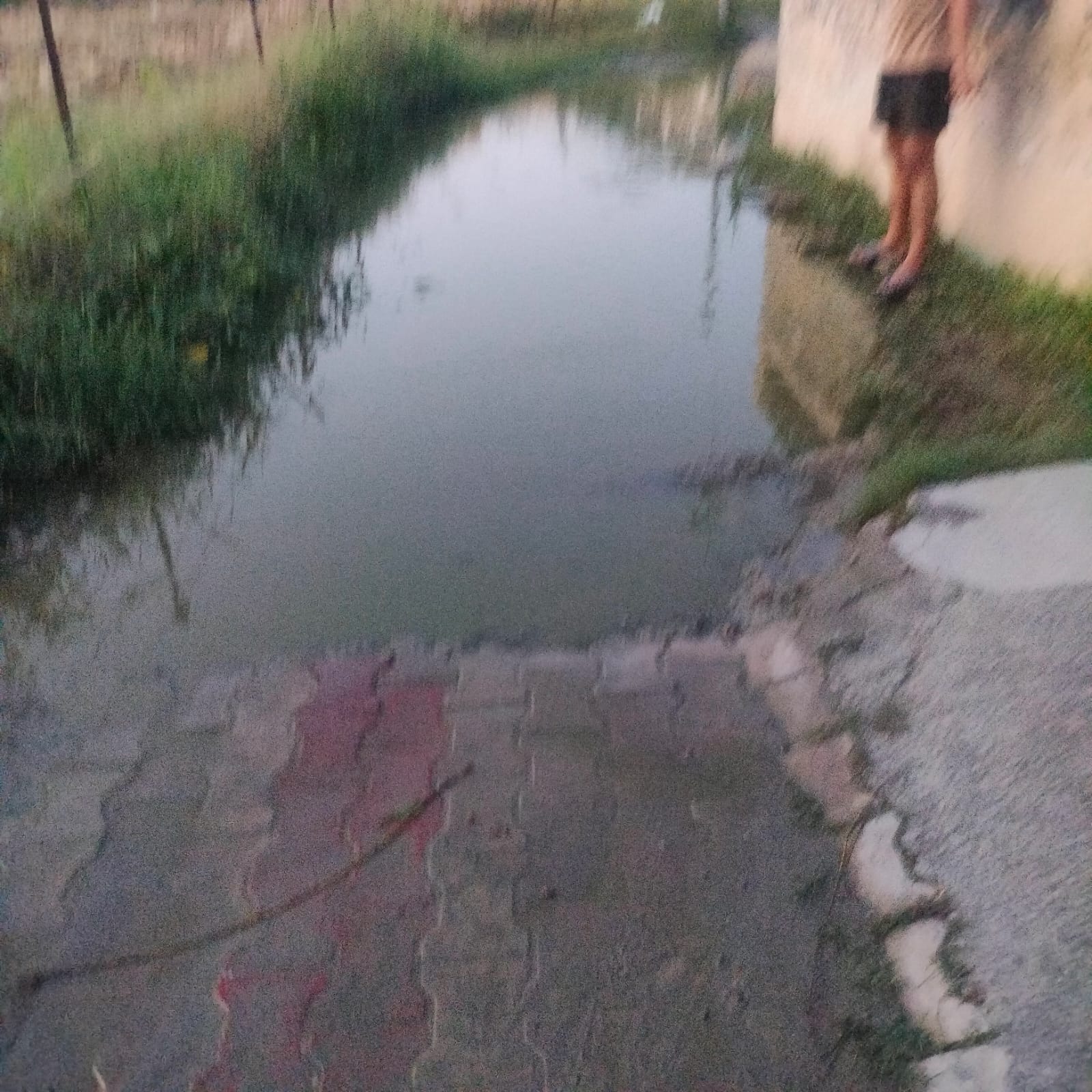 रजनी देवी ऊना निवासी आर्य नगर और राज कुमार ऊना निवासी आर्य नगर।