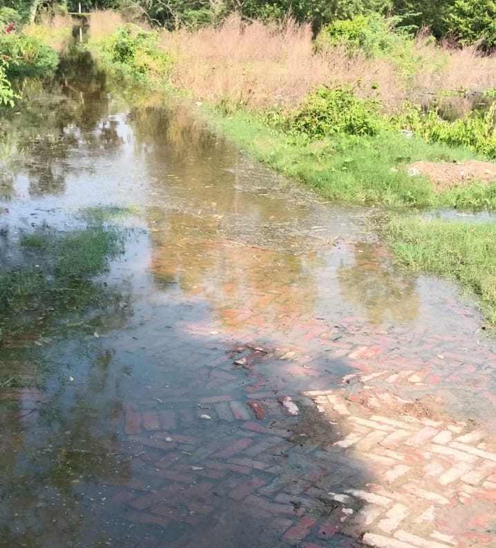 सरेनी में गंगा का जलस्तर बढ़ने से कुटिया अहतमाली गांव जाने वाले रास्ते में भरा पानी।