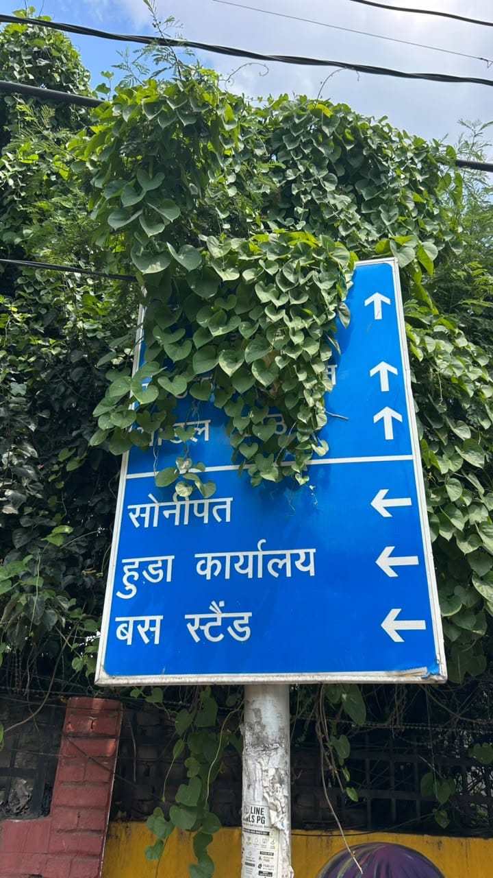 19 रोहतक के जिला विकास भवन के बाहर साइन बोर्ड के मिटे शब्द। संवाद 19 रोहतक के जिला विकास भवन के बाहर साइन बोर्ड के मिटे शब्द। संवाद