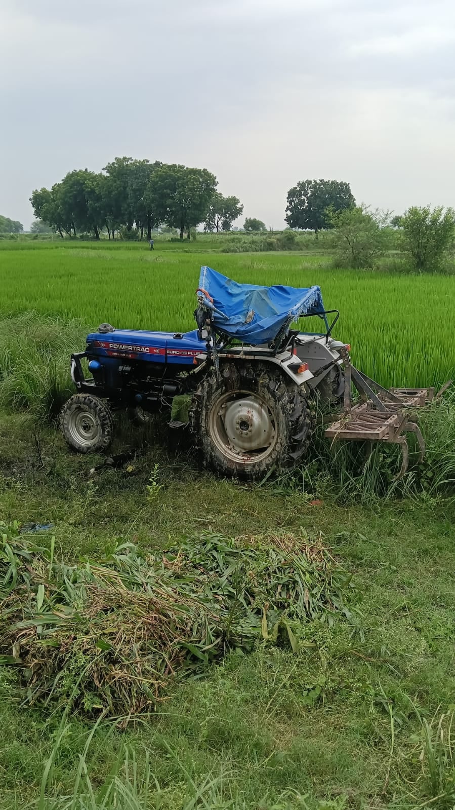 भाई फोटो नवाबगंज 01 आदर्श कुमार की फाइल फोटो भाई फोटो नवाबगंज 01 आदर्श कुमार की फाइल फोटो