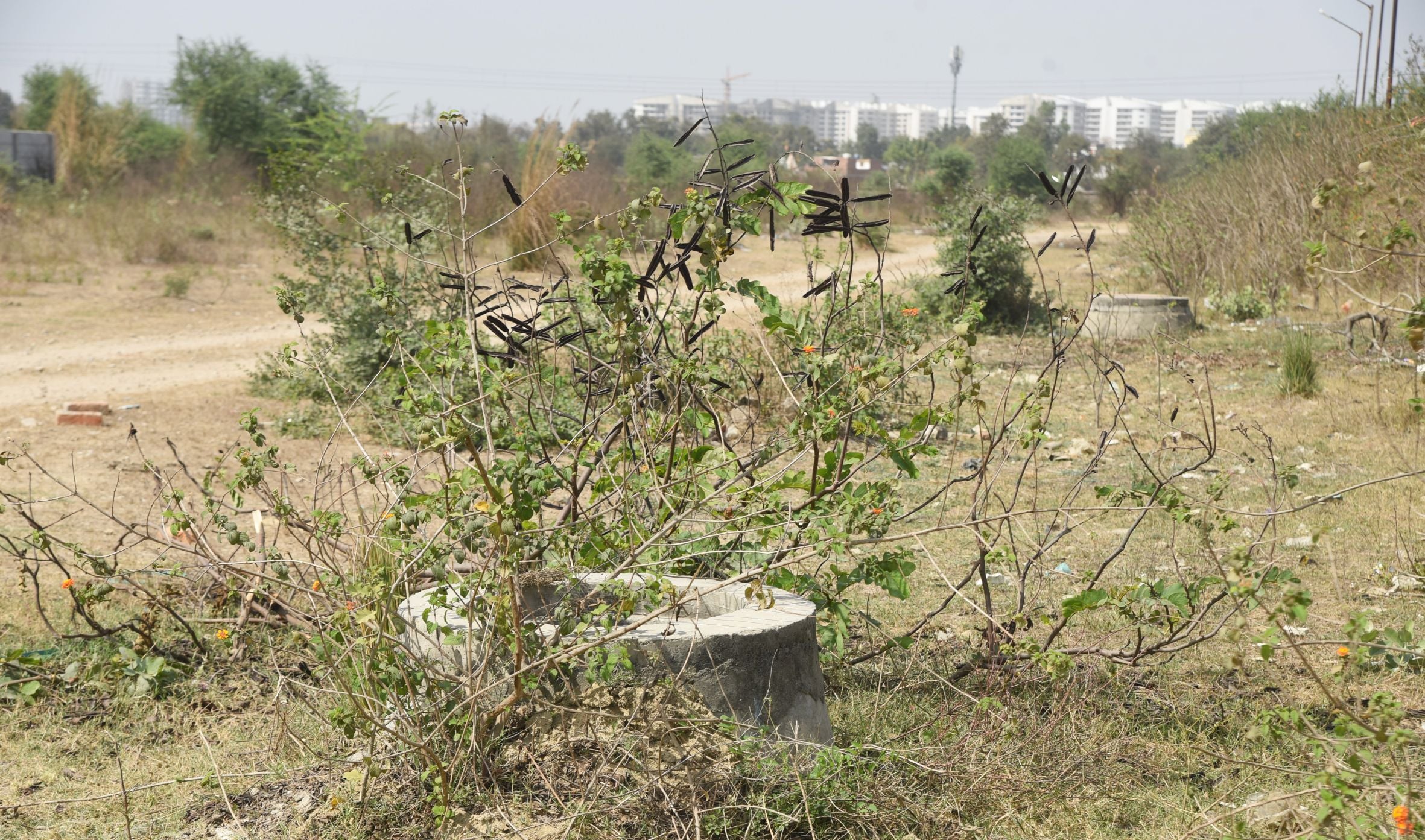 अंसल की इसी जमीन पर मिलना है कब्जा। अंसल की इसी जमीन पर मिलना है कब्जा।
