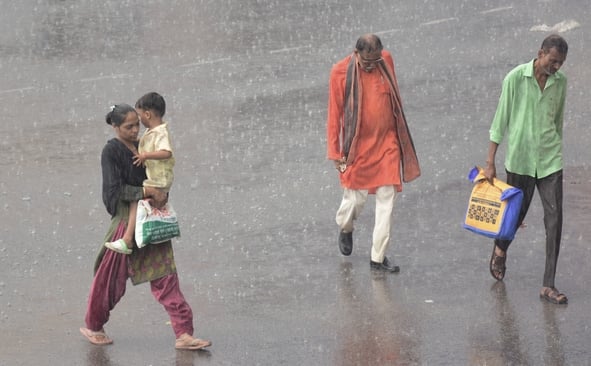 आंधी से गिरे पेड़, बारिश से हुआ जलभराव। आंधी से गिरे पेड़, बारिश से हुआ जलभराव।