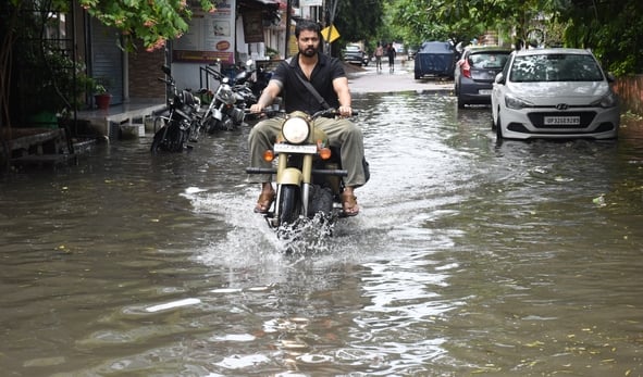 आंधी से गिरे पेड़, बारिश से हुआ जलभराव। आंधी से गिरे पेड़, बारिश से हुआ जलभराव।