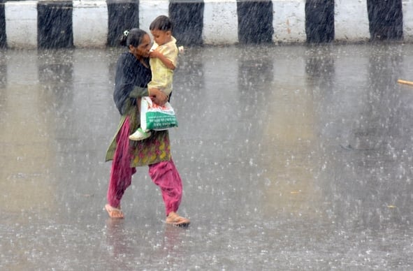 आंधी से गिरे पेड़, बारिश से हुआ जलभराव। आंधी से गिरे पेड़, बारिश से हुआ जलभराव।