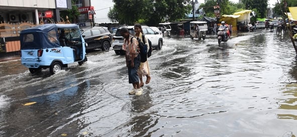 आंधी से गिरे पेड़, बारिश से हुआ जलभराव। आंधी से गिरे पेड़, बारिश से हुआ जलभराव।