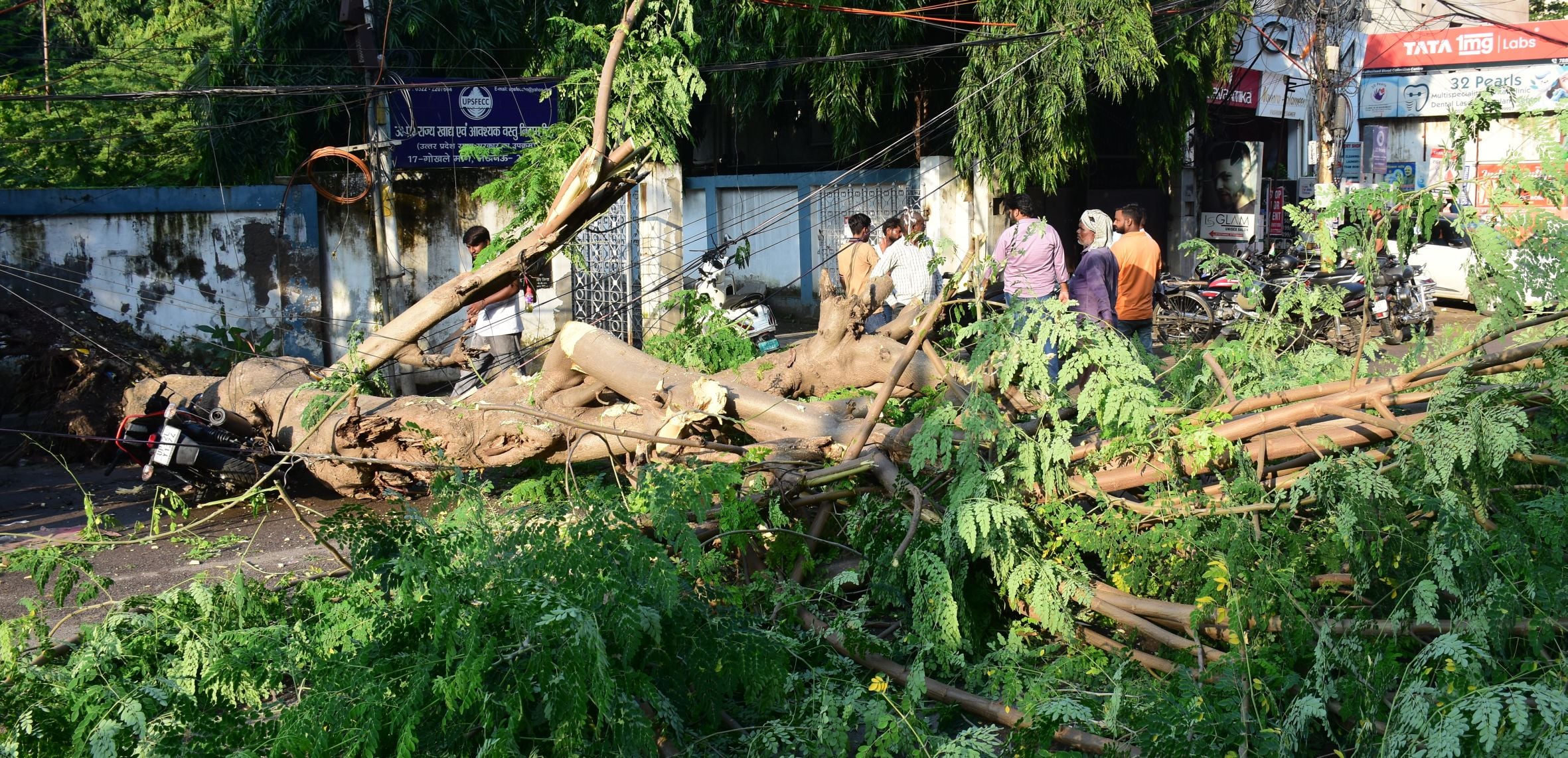 आंधी से टूटे खंभे और तार। आंधी से टूटे खंभे और तार।