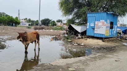 जिले की गुहला-चीका मंडी में फैला भुसा। संवाद