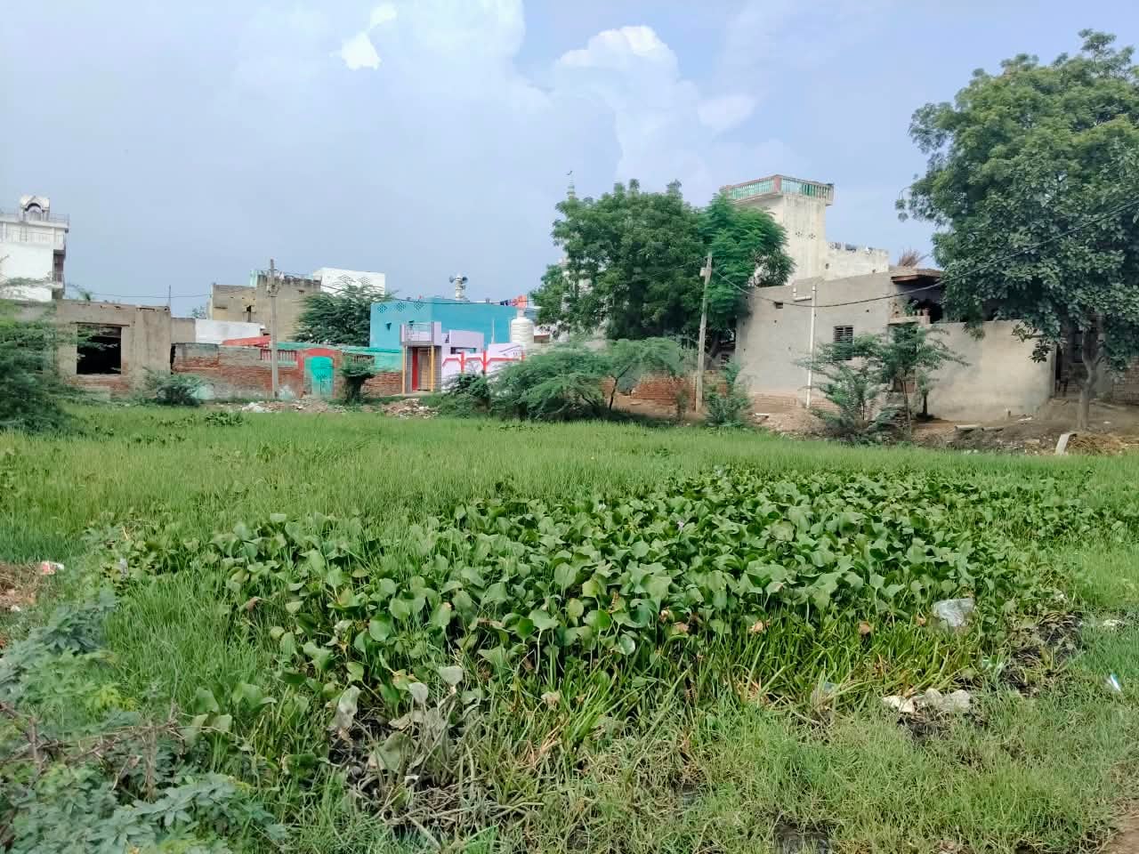 मेहंदीपुर गांव में बना तालाब संख्या - एक। मेहंदीपुर गांव में बना तालाब संख्या - एक।