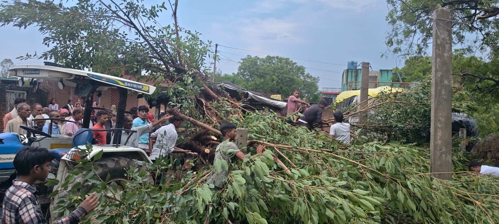 दातागंज में पेड़ गिरने से दबी बरेली के ठेकेदार की कार। संवाद दातागंज में पेड़ गिरने से दबी बरेली के ठेकेदार की कार। संवाद