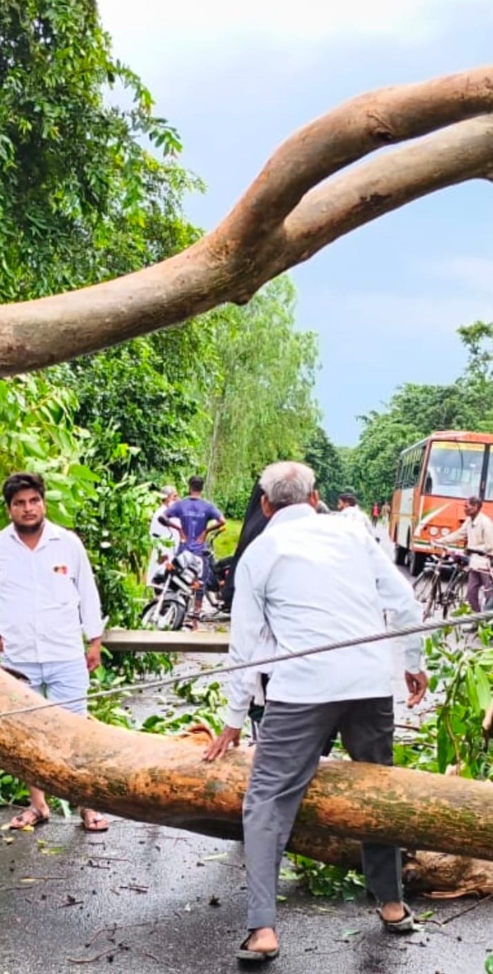 दातागंज में पेड़ गिरने से दबी बरेली के ठेकेदार की कार। संवाद दातागंज में पेड़ गिरने से दबी बरेली के ठेकेदार की कार। संवाद