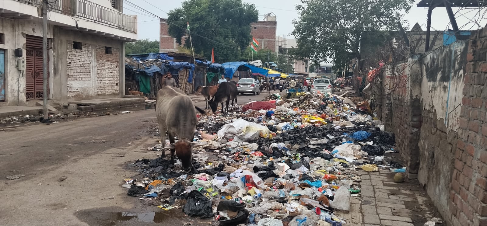 गंदगी के ढेर। गंदगी के ढेर।
