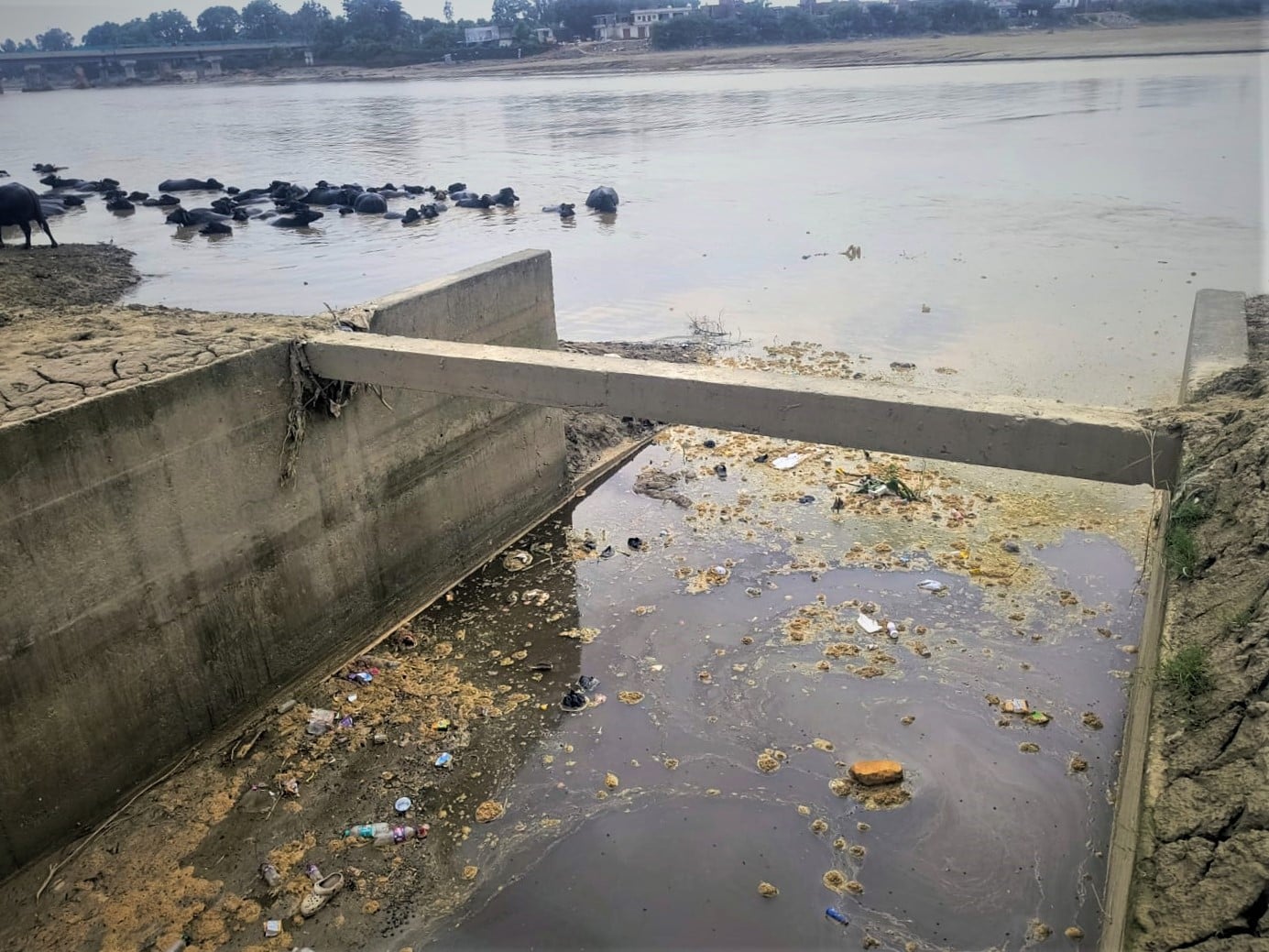 ख्वाजा फिरोज कॉलोनी के पास गर्रा नदी के किनारे लगा कूड़े का ढेर। संवाद