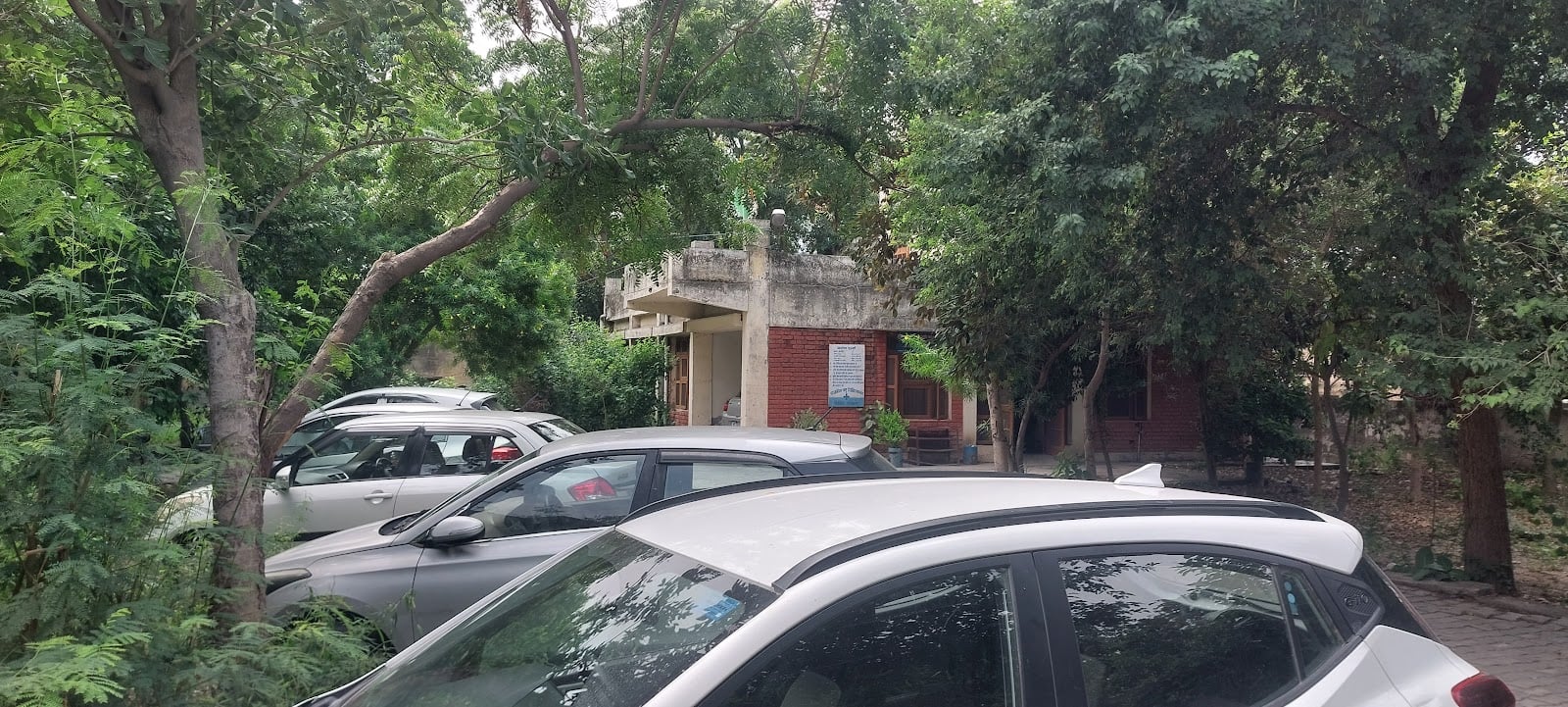 निसिंग पशु अस्पताल बना दूध की डेरी। संवाद