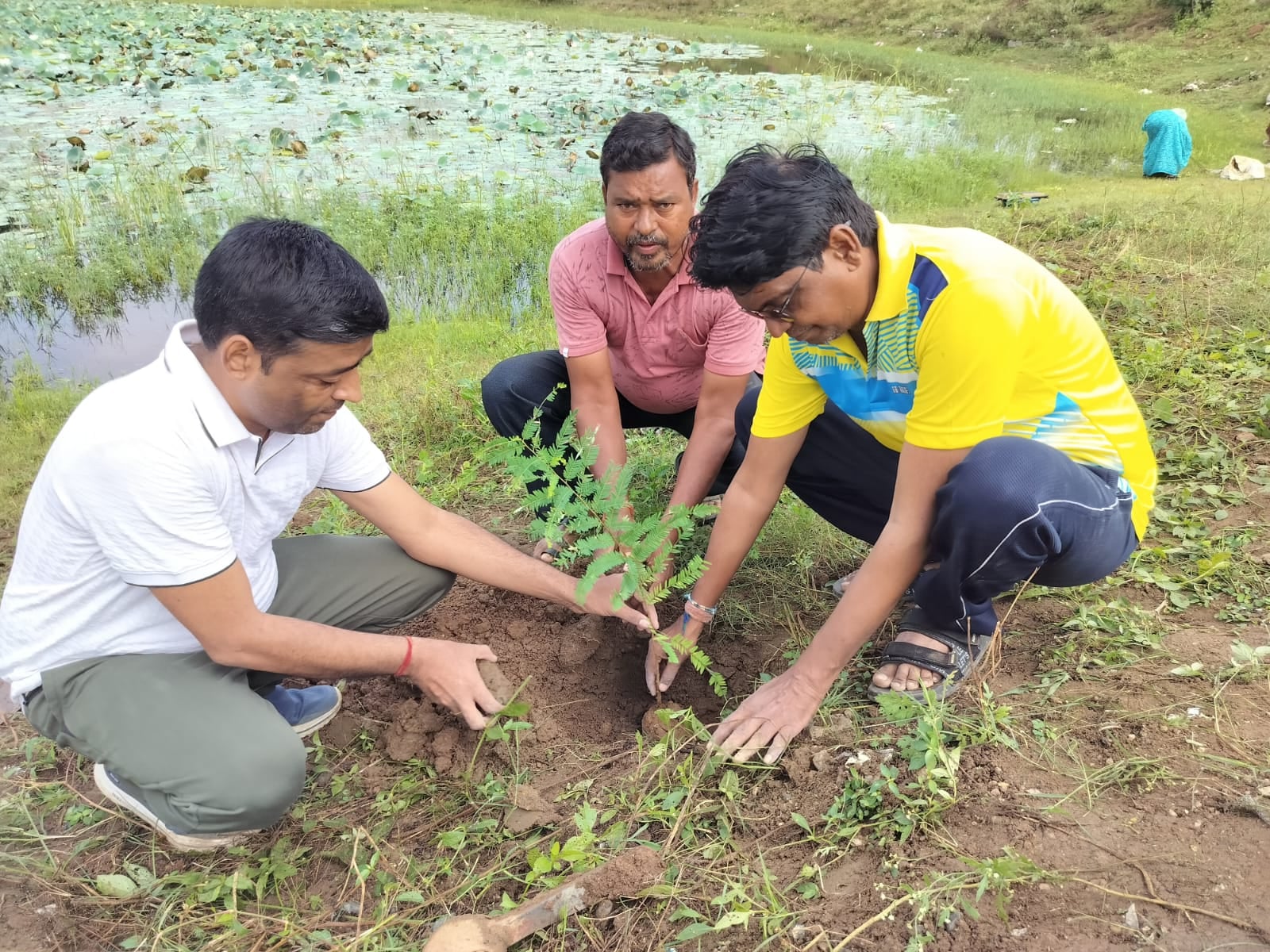 शीतला सरोवर की स्वच्छता और हरियाली के लिए नगर पालिका ने शुरू किया अभियान।।