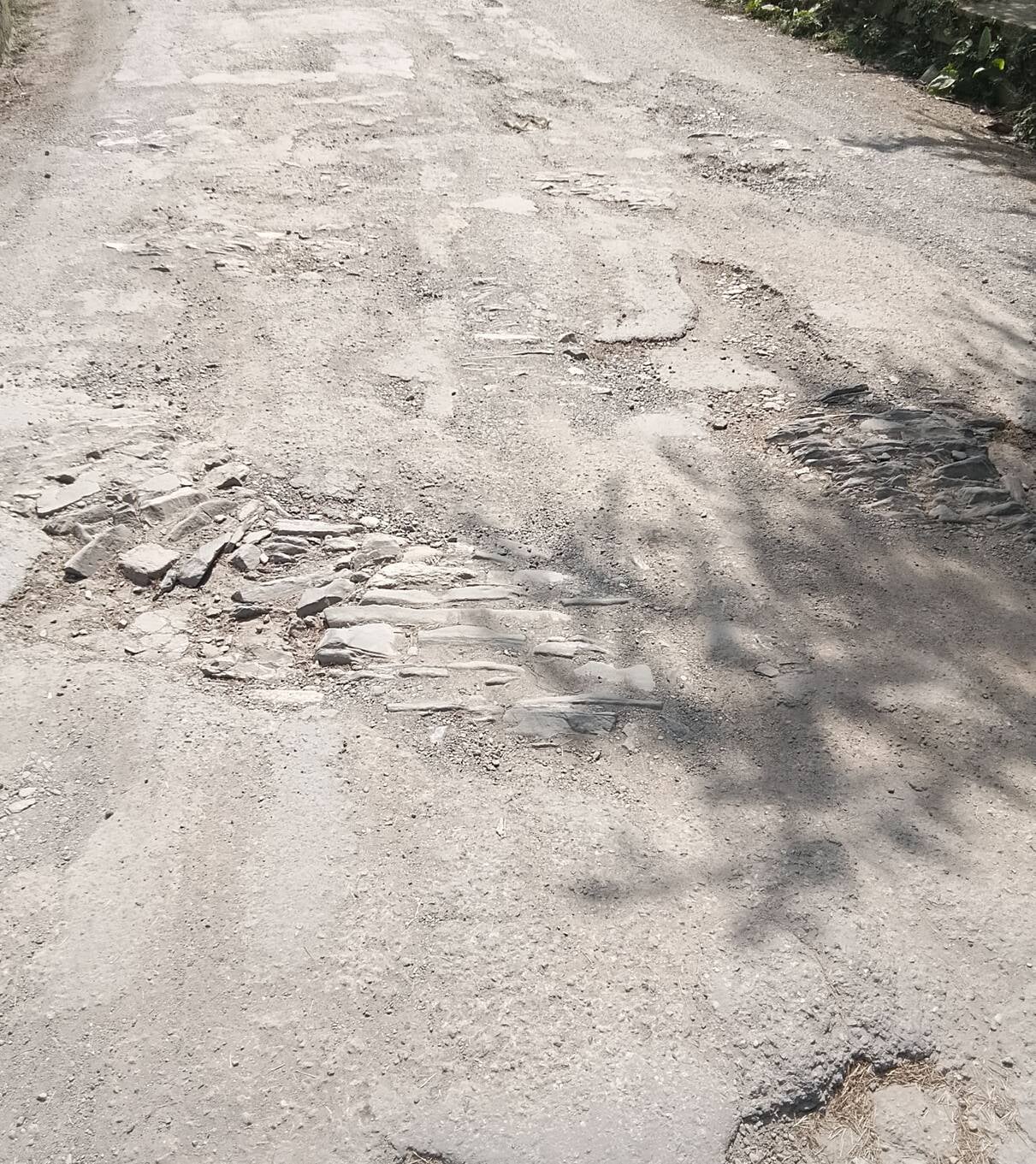 एनएच से चायल तक जाने वाली सड़क की खस्ता हालत। संवाद एनएच से चायल तक जाने वाली सड़क की खस्ता हालत। संवाद