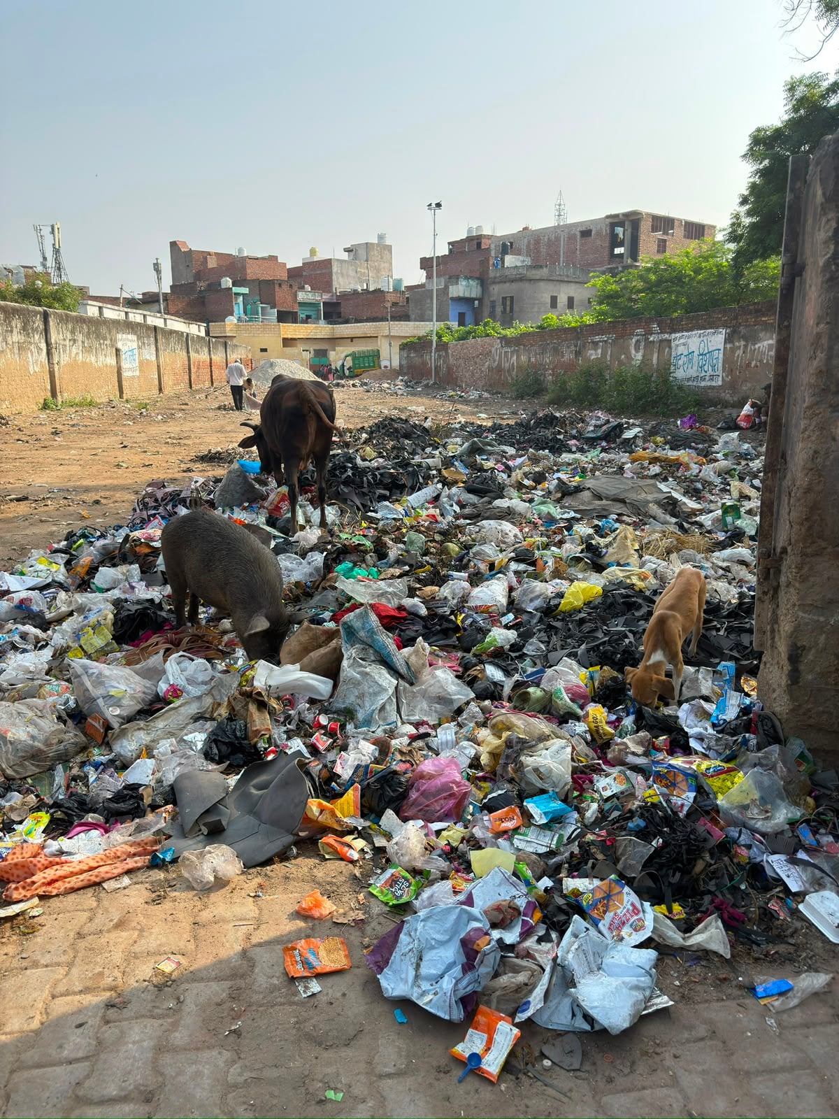 गंदगी के ढेर गंदगी के ढेर