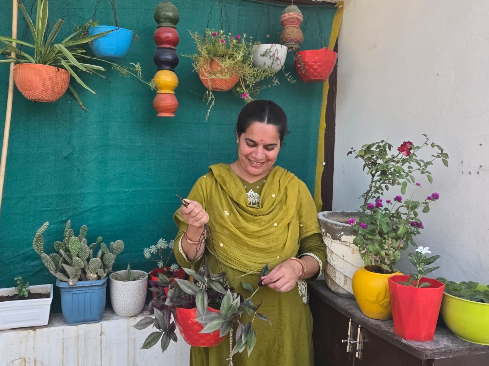 घर पर उगे पौधे घर पर उगे पौधे