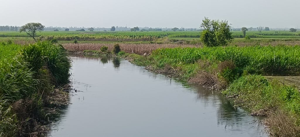 काली नदी के पास खेतों में भरा पानी। संवाद काली नदी के पास खेतों में भरा पानी। संवाद