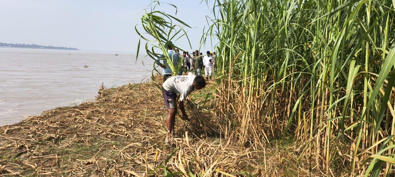 माझाराठ गांव में नदी की जद में आए खेत से गन्ने की फसल काटता किसान व प्रदर्शन करते लोग। स्रोत: स माझाराठ गांव में नदी की जद में आए खेत से गन्ने की फसल काटता किसान व प्रदर्शन करते लोग। स्रोत: स