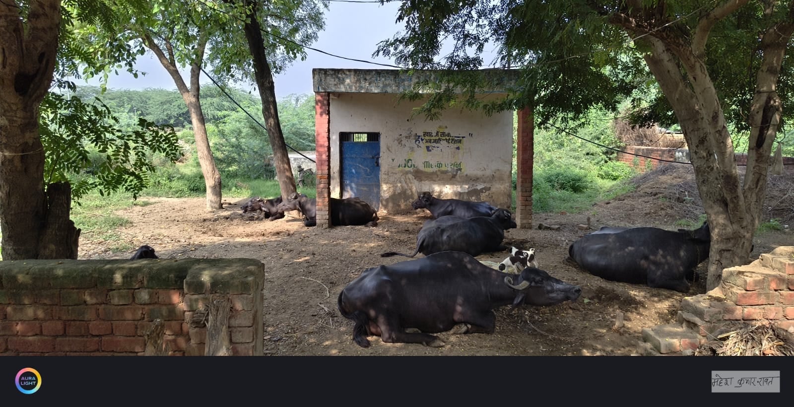 मरम्मत का कार्य करते मजदूर।