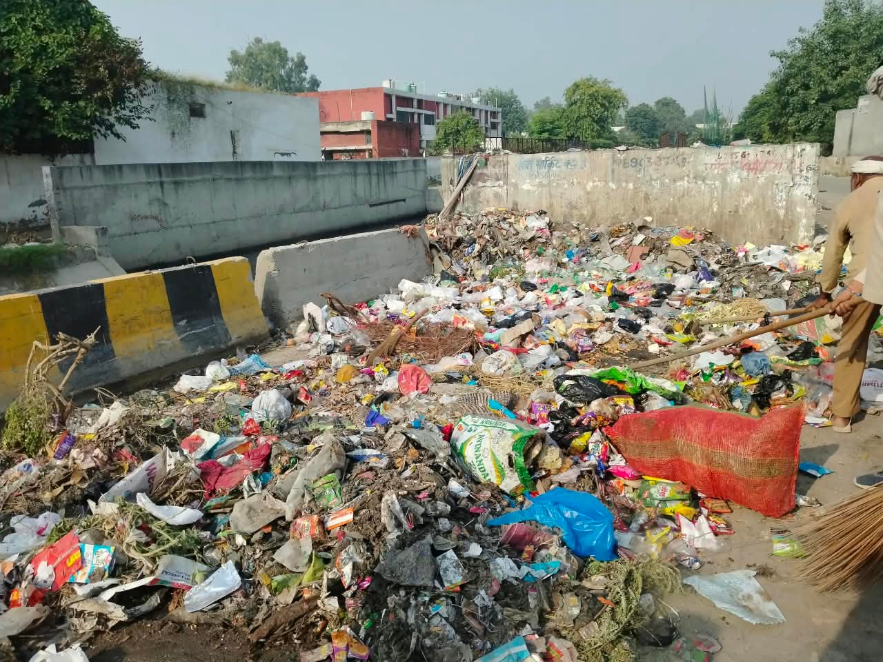 लोधी पार्क के नजदीक कूड़ा उठाते भाजपा प्रदेशाध्यक्ष डॉ. अर्चना गुप्ता और मेयर कोमल सैनी। स्रोत 