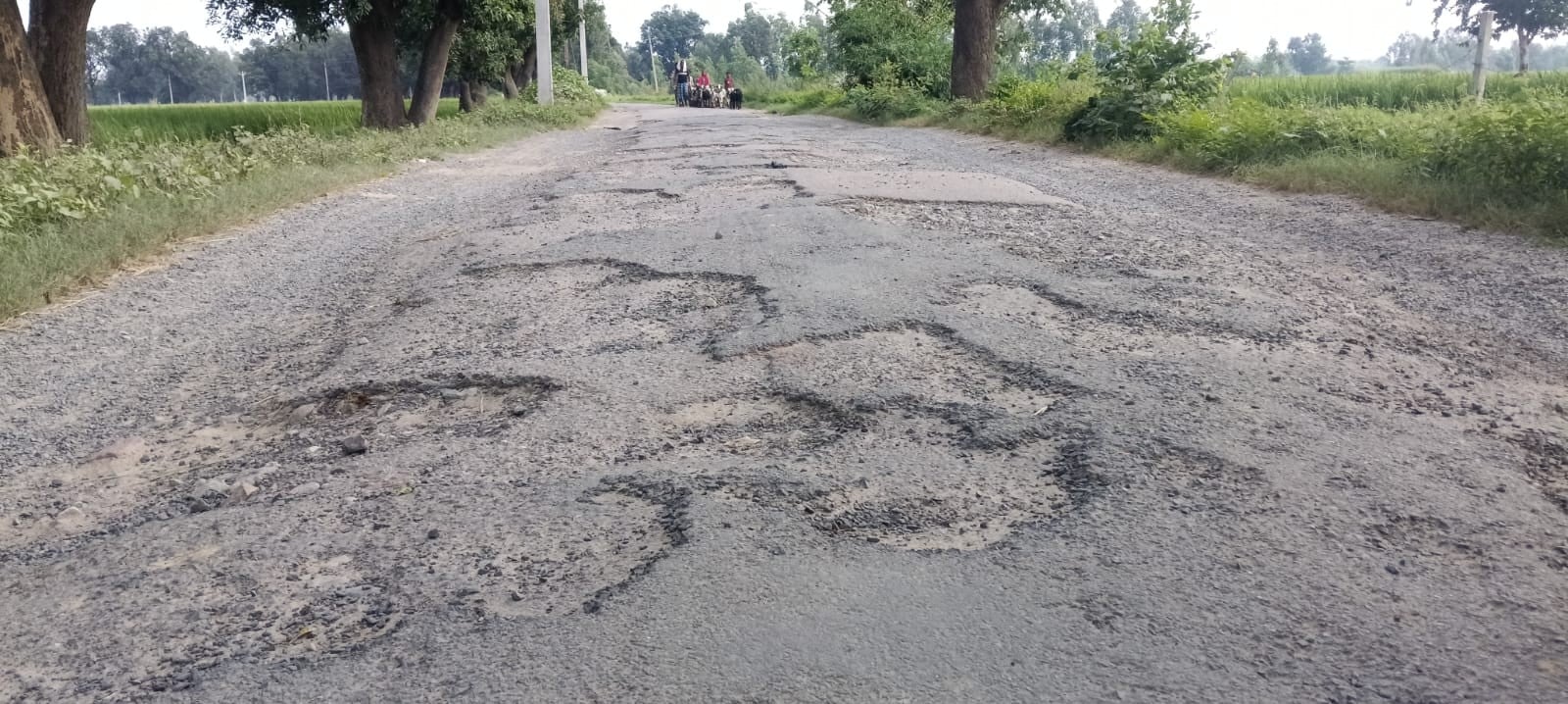 मार्ग मार्ग