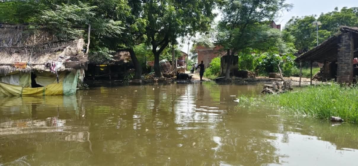 लोनारी का जलमग्न परिषदीय स्कूल। संवाद लोनारी का जलमग्न परिषदीय स्कूल। संवाद