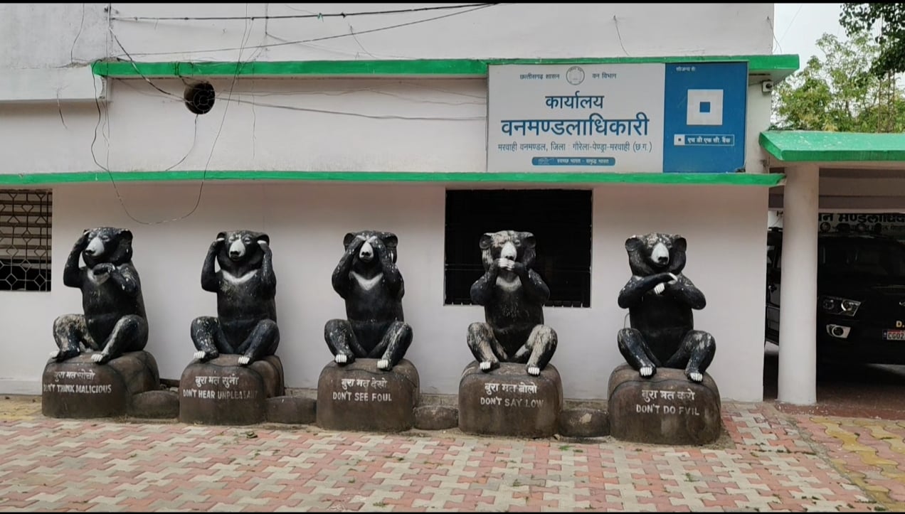 मरवाही वन मंडल में कैशबुक संधारण पर गंभीर सवाल, शिकायत के बाद भी जांच का इंतजार।।