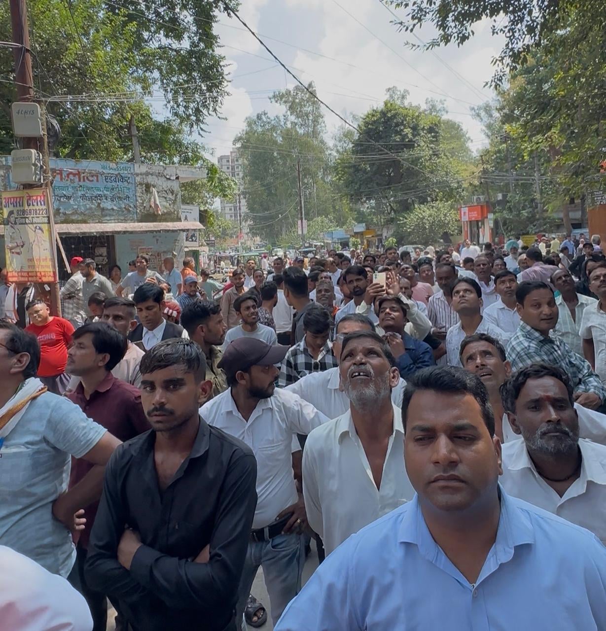 पेड़ से विशालकाय अजगर का रेस्क्यू करते वनकर्मी। संवाद