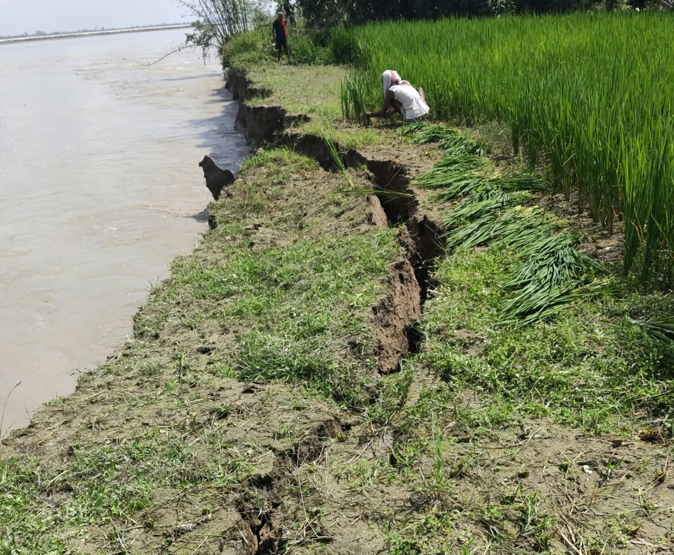 हेतमापुर गांव की आबादी से सटकर बह रही सरयू। हेतमापुर गांव की आबादी से सटकर बह रही सरयू।