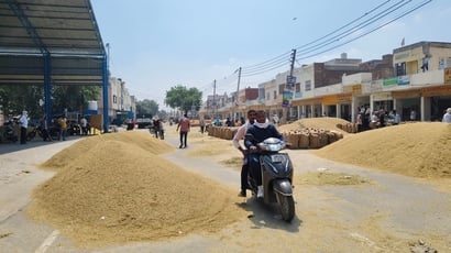 मंडी में जानकारी देता किसान बीरभान। मंडी में जानकारी देता किसान बीरभान।