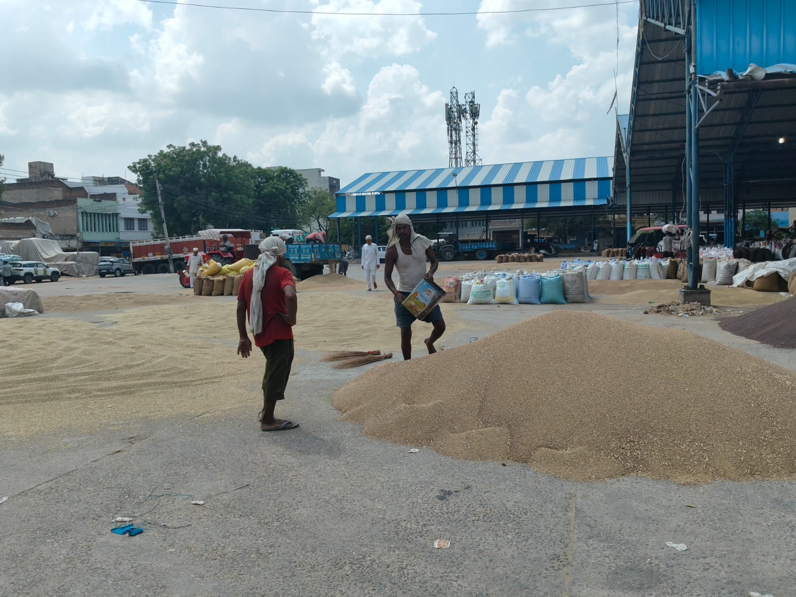 रमेश कुमार, गांव भाकली बी