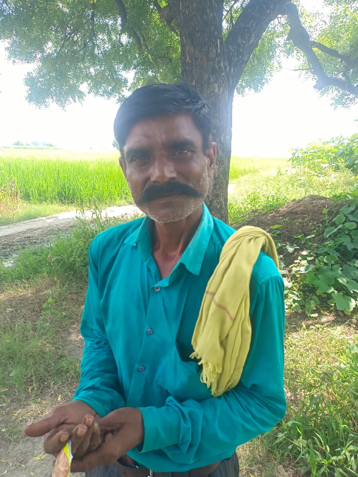 रिशु। फाइल फोटो रिशु। फाइल फोटो