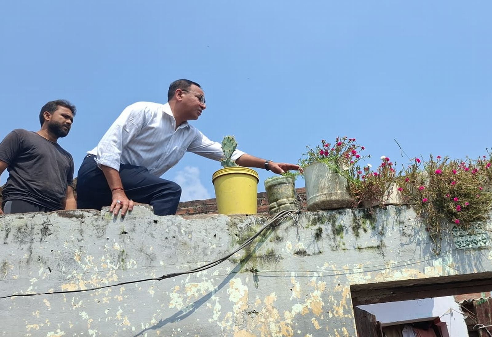 जिला सर्विलास अधिकारी डॉ. तहसीन जांच करते हुए। स्रोत विभाग जिला सर्विलास अधिकारी डॉ. तहसीन जांच करते हुए। स्रोत विभाग
