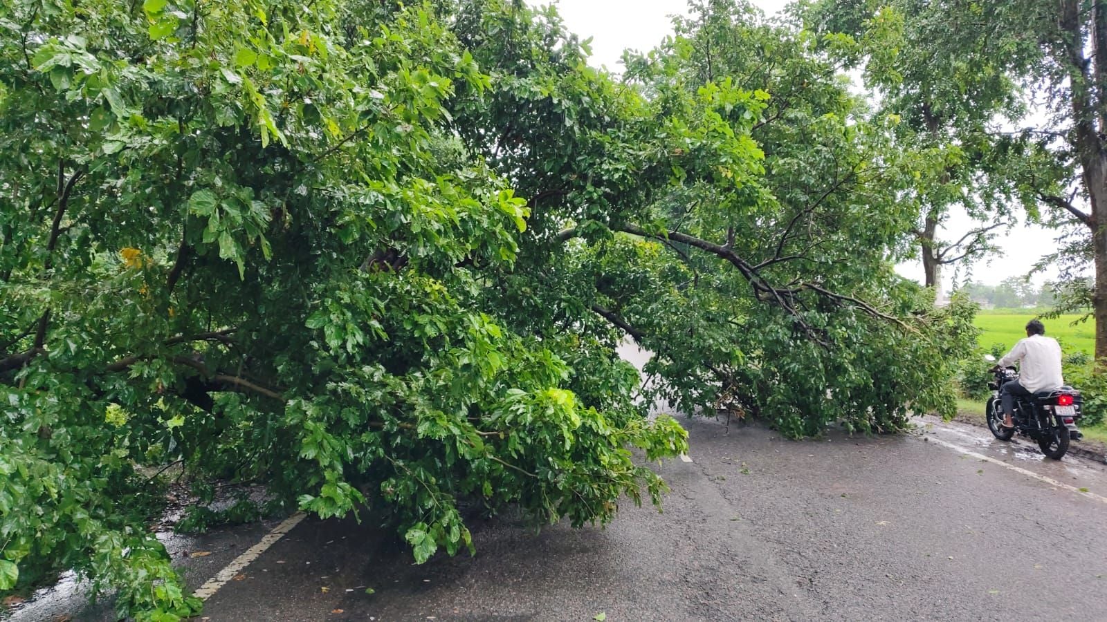 खराब ट्रांसफार्मर खराब ट्रांसफार्मर