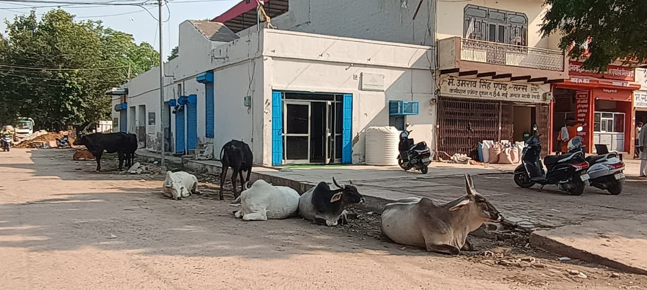 मंडी के बीचोंबीच टूटी सड़क पर जमा गंदा पानी। संवाद मंडी के बीचोंबीच टूटी सड़क पर जमा गंदा पानी। संवाद