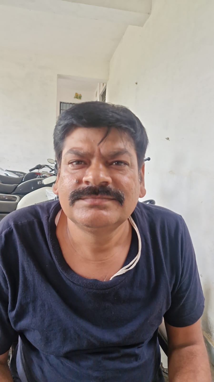 यमुना सिटी स्थित सेक्टर 22डी में अफोर्डेबल फ्लैट्स के पीछे वाले ग्राउंड में हो रही बड़ी-बड़ी झ यमुना सिटी स्थित सेक्टर 22डी में अफोर्डेबल फ्लैट्स के पीछे वाले ग्राउंड में हो रही बड़ी-बड़ी झ