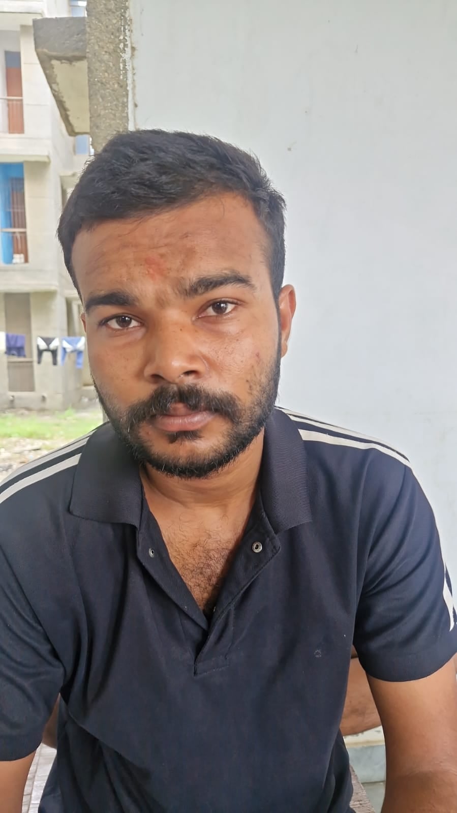 यमुना सिटी स्थित सेक्टर 22डी में अफोर्डेबल फ्लैट्स के पीछे वाले ग्राउंड में हो रही बड़ी-बड़ी झ यमुना सिटी स्थित सेक्टर 22डी में अफोर्डेबल फ्लैट्स के पीछे वाले ग्राउंड में हो रही बड़ी-बड़ी झ