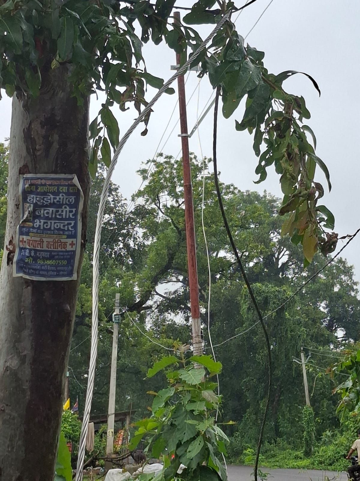 बारिश के टूटे तार और कटरा बाजार में विद्युत लाइन दुरुस्त करते कर्मी। स्रोत: विभाग