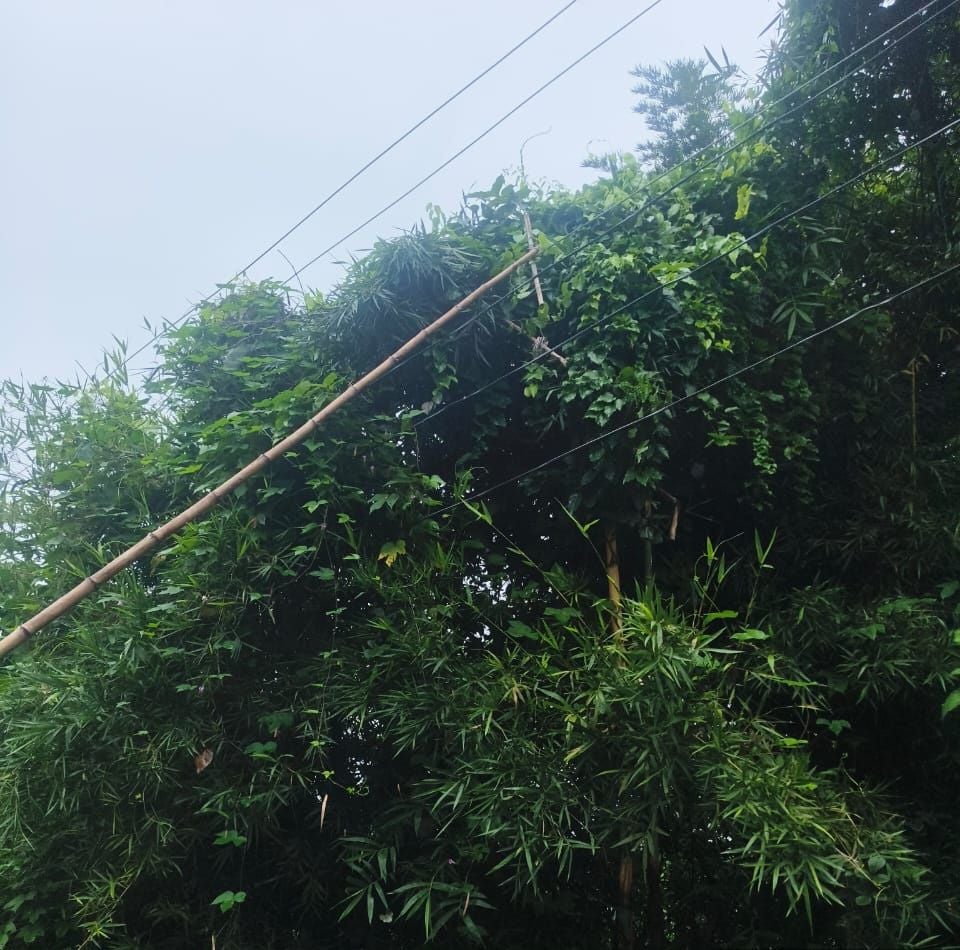 बारिश के टूटे तार और कटरा बाजार में विद्युत लाइन दुरुस्त करते कर्मी। स्रोत: विभाग