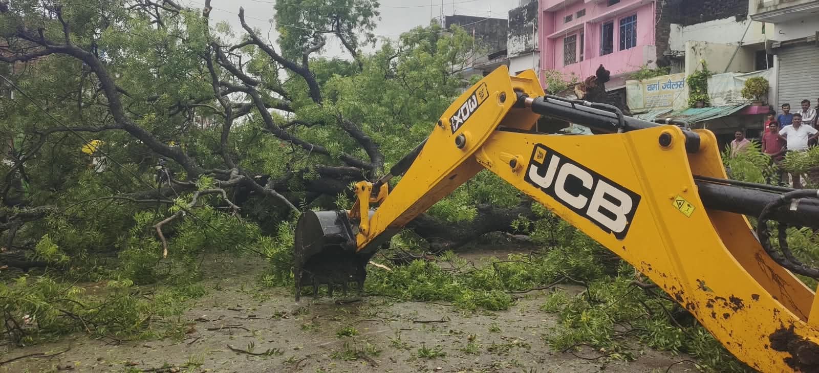 बारिश में गिरे पेड़, शहर में हुआ जलभराव और खेतों में गिरीं फसलें। संवाद