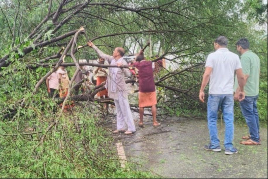 बारिश व तेज हवा से बिजली की लाइन व खंभों पर गिरे पेड़ और खामियों को ठीक करते कर्मचारी। संवाद बारिश व तेज हवा से बिजली की लाइन व खंभों पर गिरे पेड़ और खामियों को ठीक करते कर्मचारी। संवाद