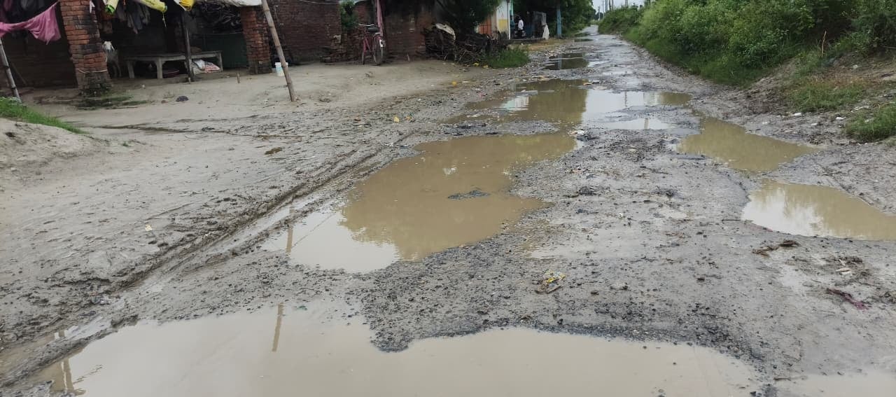 जलालपुर क्षेत्र में गिरी धान की बाली अवस्था वाली फसल। संवाद जलालपुर क्षेत्र में गिरी धान की बाली अवस्था वाली फसल। संवाद