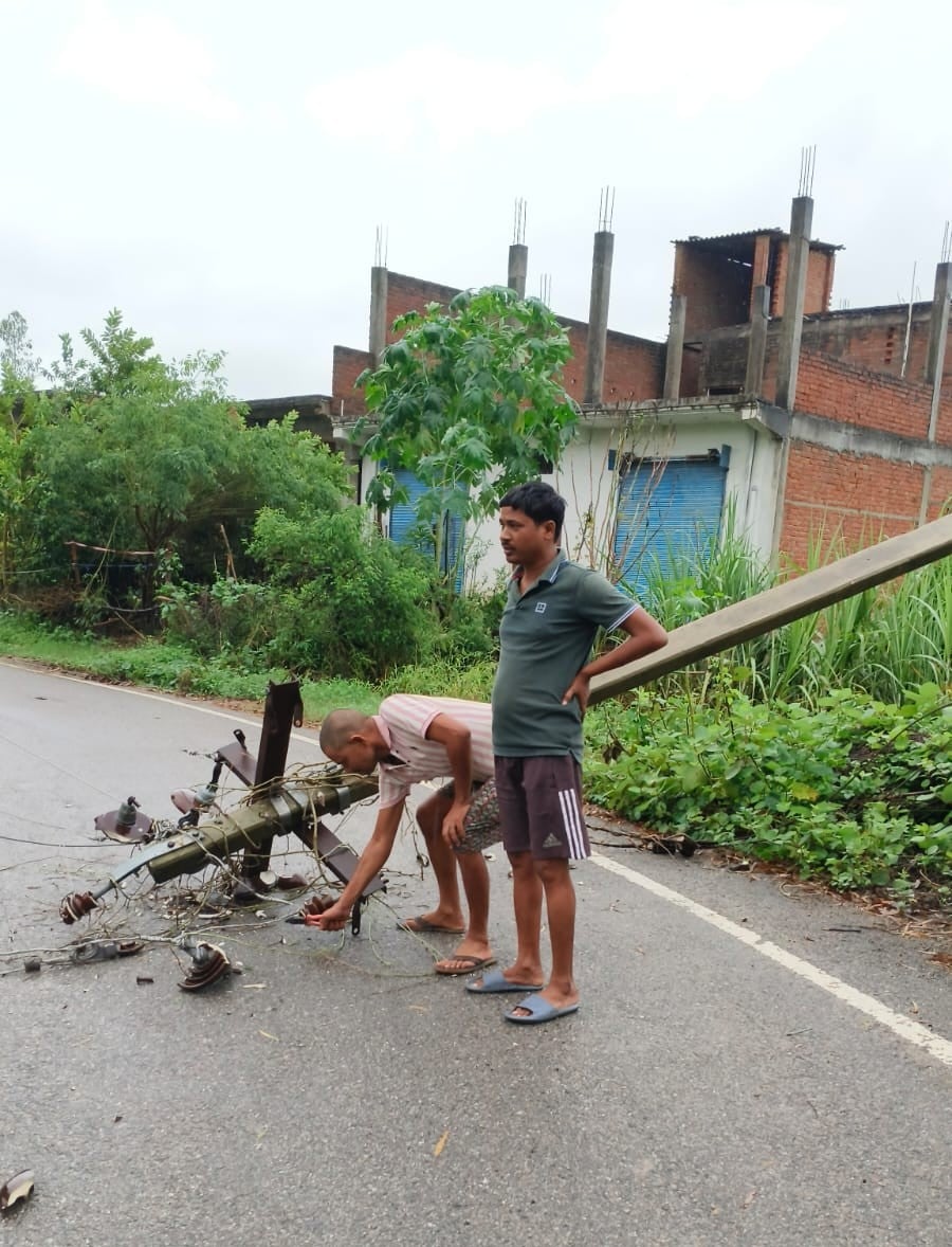.कलेक्ट्रेट में पेड़ गिरने से टूटा बिजली तार। स्रोत विभाग .कलेक्ट्रेट में पेड़ गिरने से टूटा बिजली तार। स्रोत विभाग