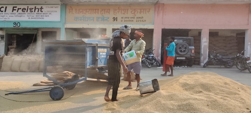 अनाज मंडी जगाधरी में धान लेकर आए किसान की ट्रैक्टर के साथ फोटो खींचता कर्मचारी। संवाद अनाज मंडी जगाधरी में धान लेकर आए किसान की ट्रैक्टर के साथ फोटो खींचता कर्मचारी। संवाद