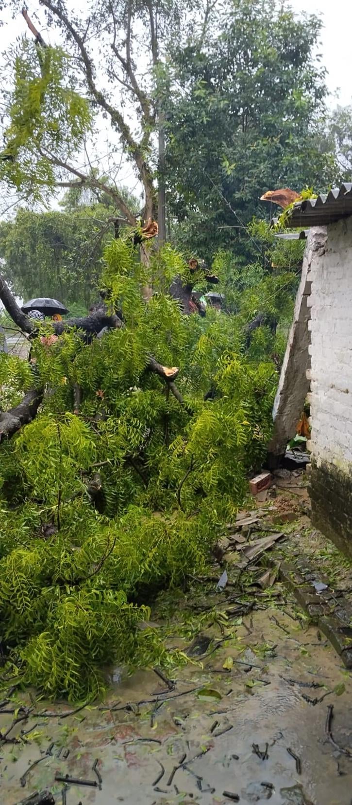 बारिश से तराई में बिगड़े हालात।