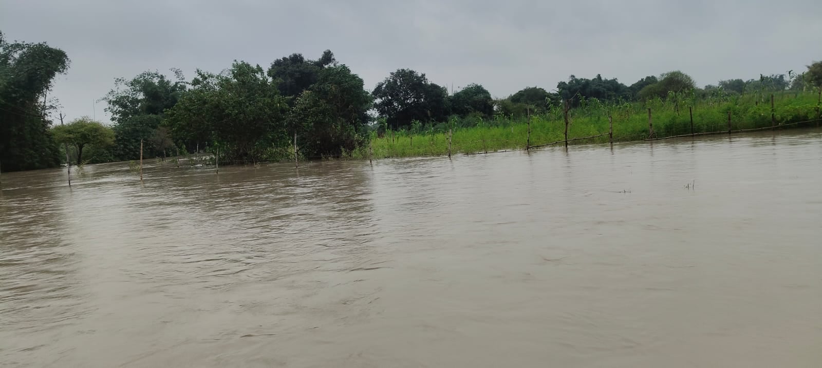 फोटो-5-उफनाए गजनी नाले में घुसकर निकलते ग्रामीण। फोटो-5-उफनाए गजनी नाले में घुसकर निकलते ग्रामीण।